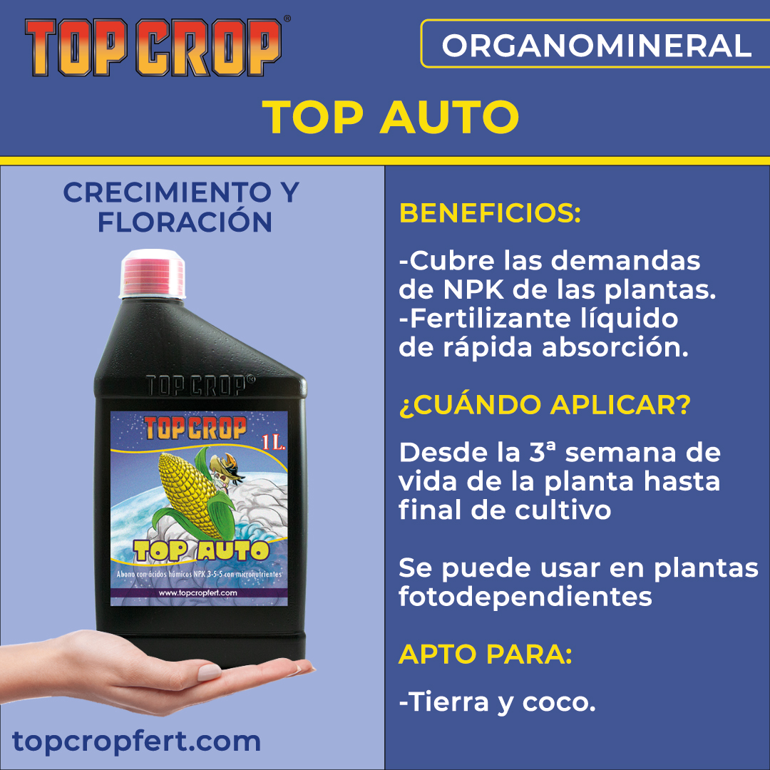 Top Crop Top Auto 1L - Image 2