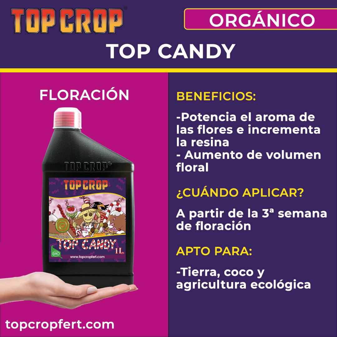 Top Candy