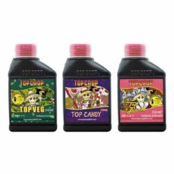 combo tripack top crop