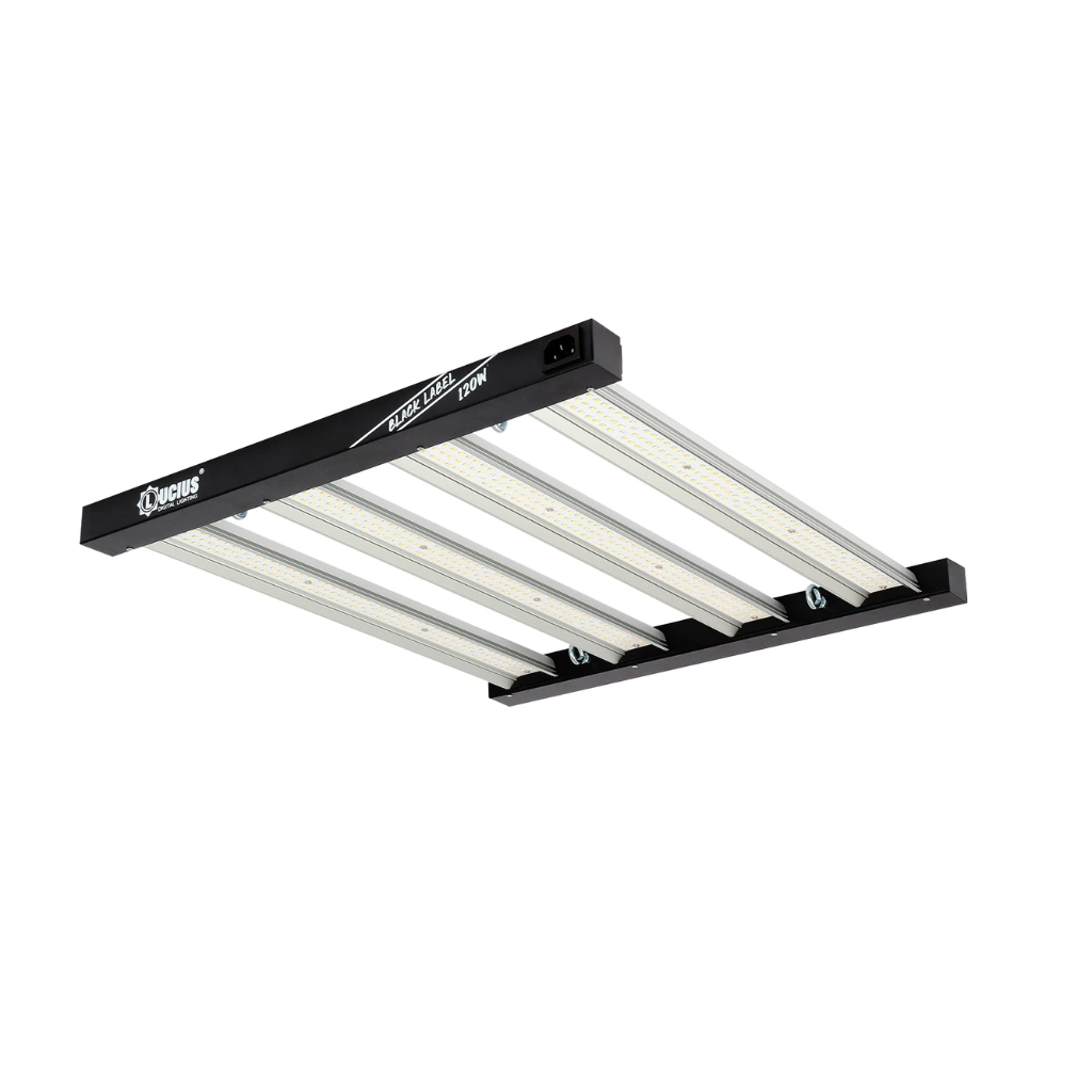 lucius 120w panel led parrilla